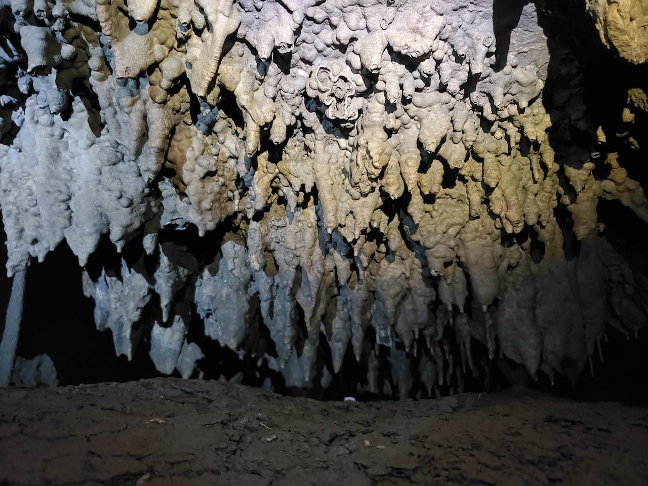 Stalactite formation in Belum Caves