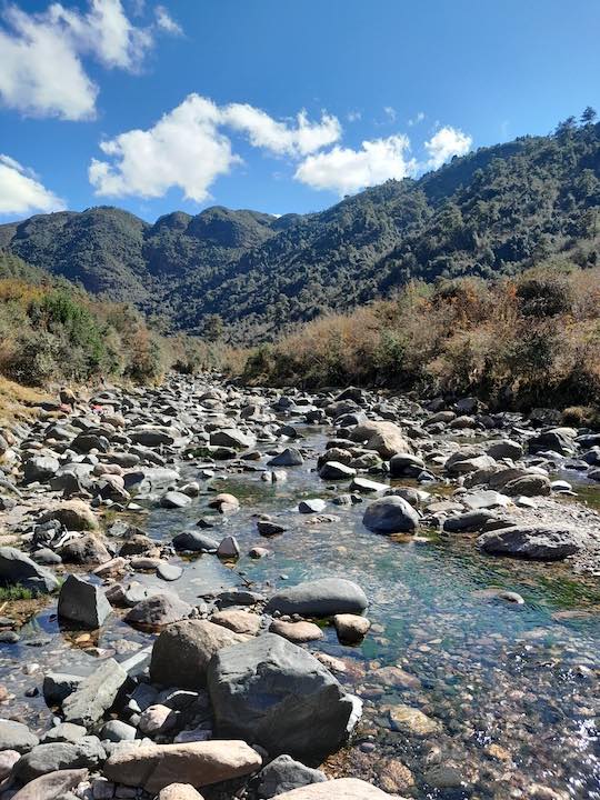 clear stream at wahtham