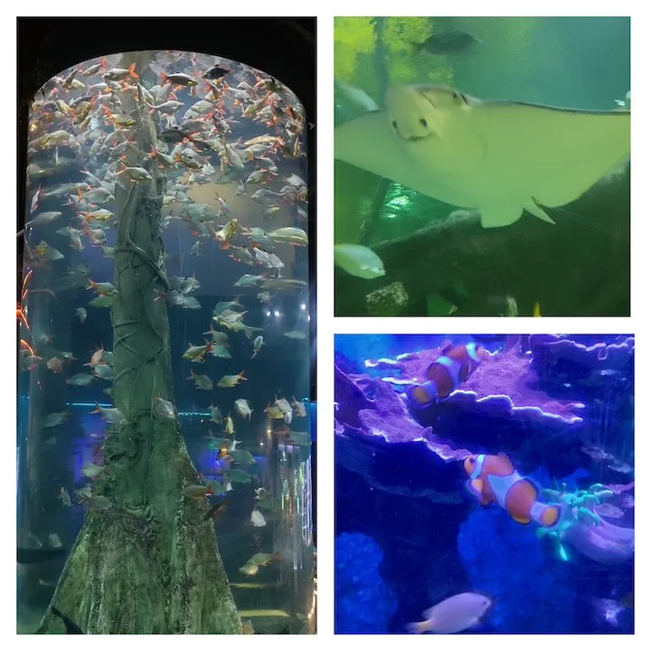 aquaria klcc