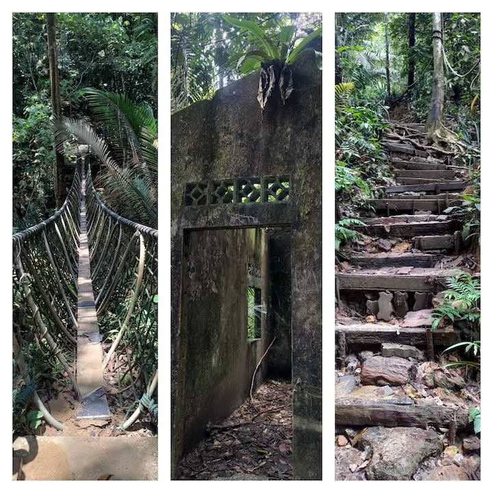 bukit gasing hiking