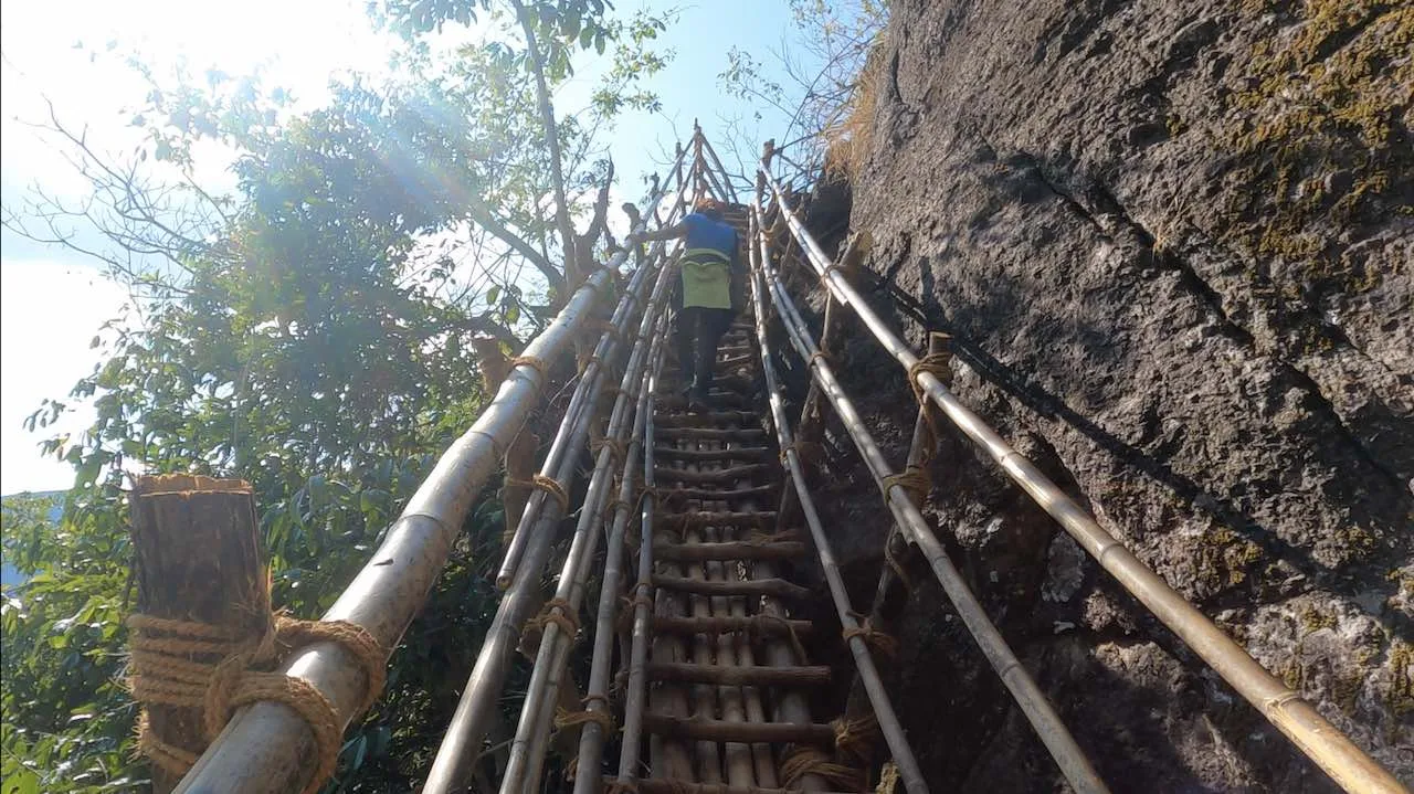 Climbing a bamboo ladder