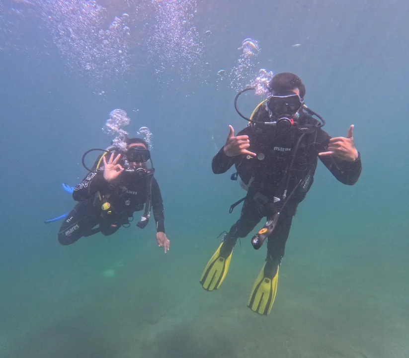 diving in nimas