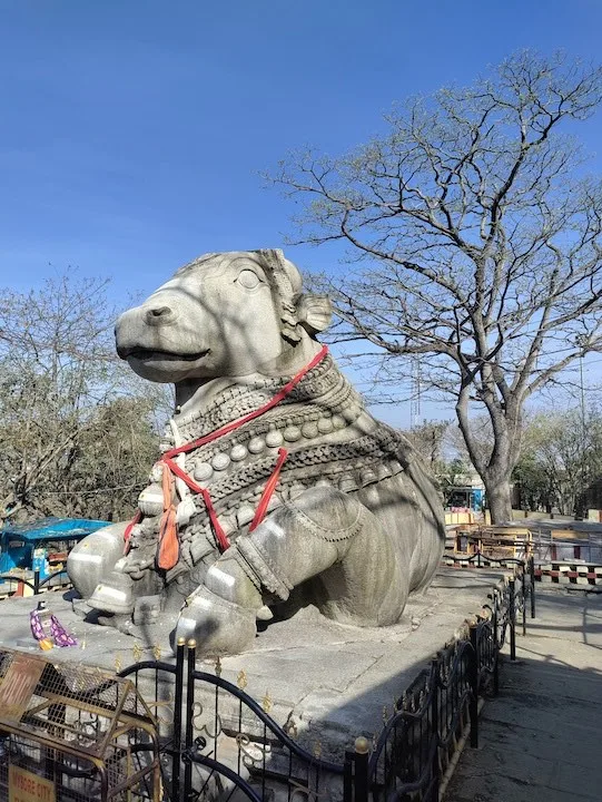 left side of nandi sculpture at chamundi hill mysore