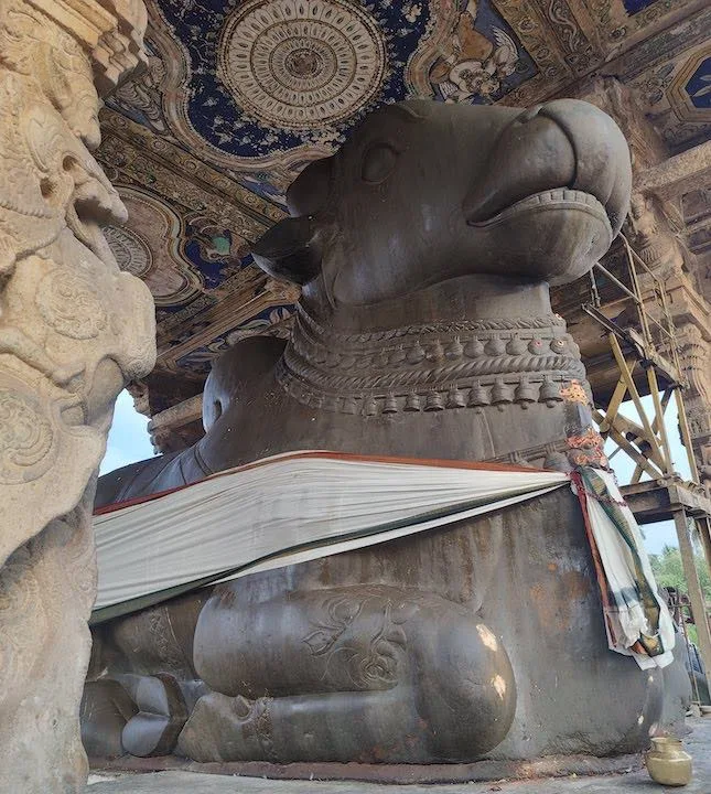 nandi sculpture at brihadeeswara temple thanjavur