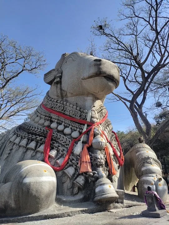 nandi sculpture at chamundi hill mysore