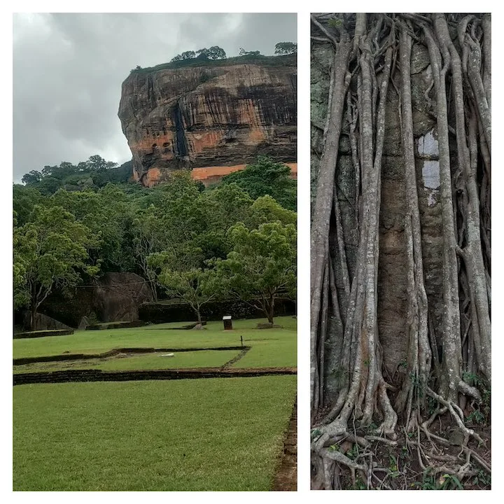 gardens of sigiriya