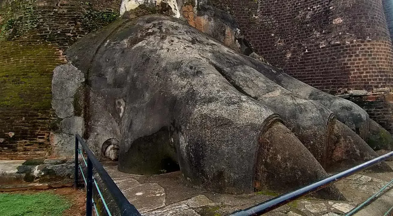 sigiriya lion paw