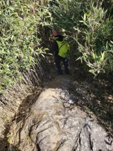 bamboo maze japfu #1.5