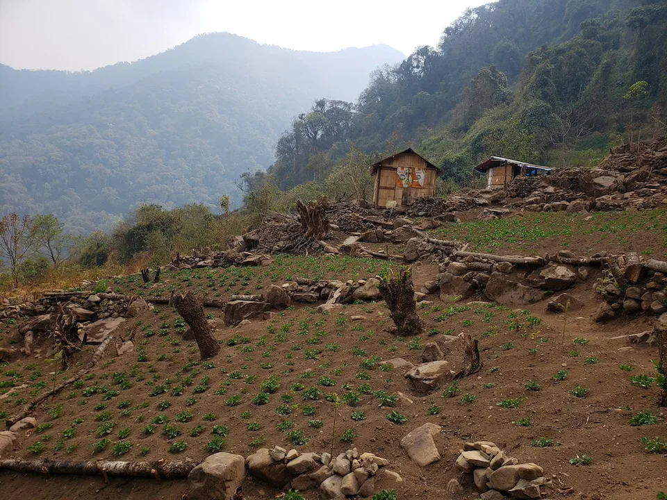 potato farm japfu