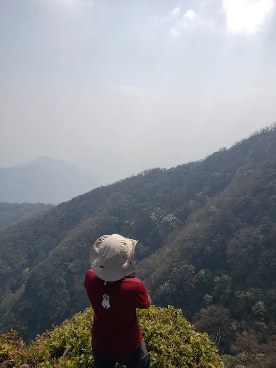 second peak of japfu #2