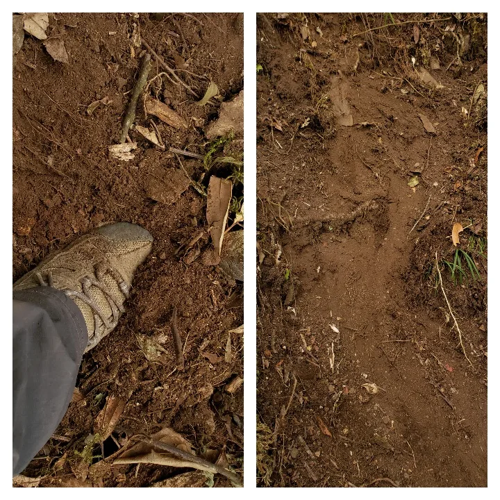 slippery soil of japfy #1.1