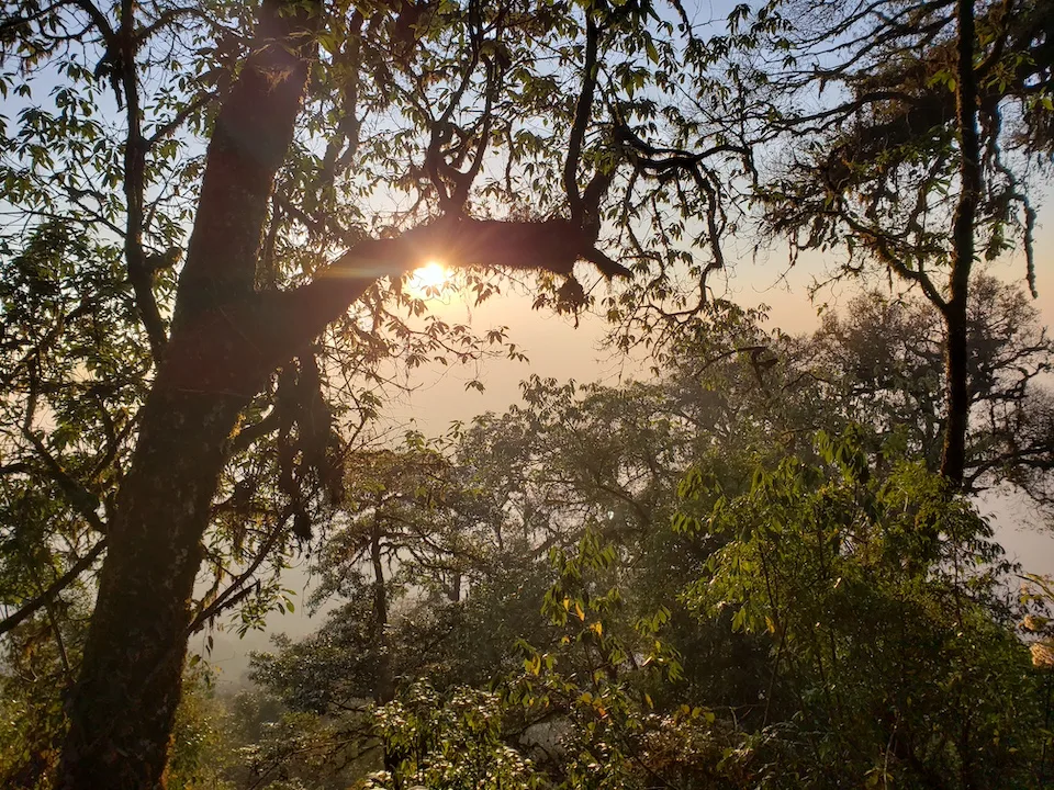 sunrise japfu