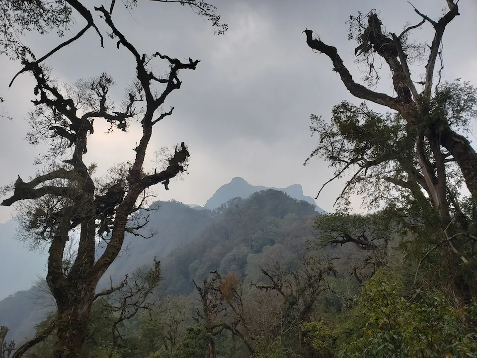 twin peaks of japfu