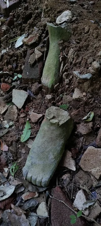 udawatta kele sanctuary #2