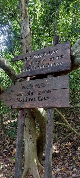 udawatta kele sanctuary #3