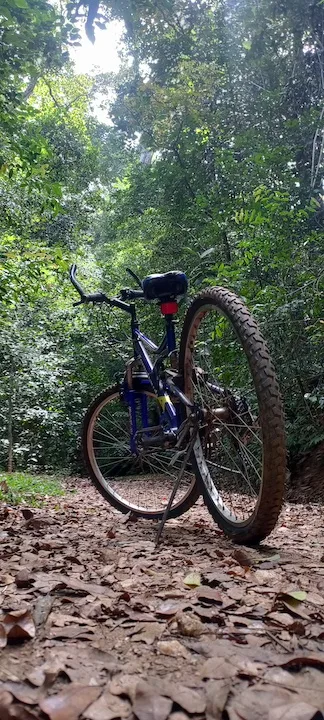 udawatta kele sanctuary #4