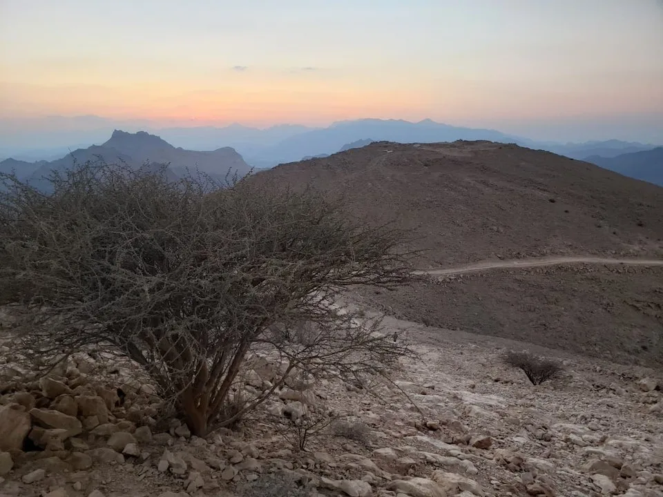 saal hike after steps #2