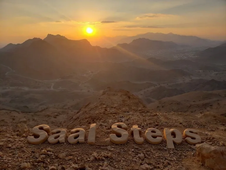 saal steps cover image