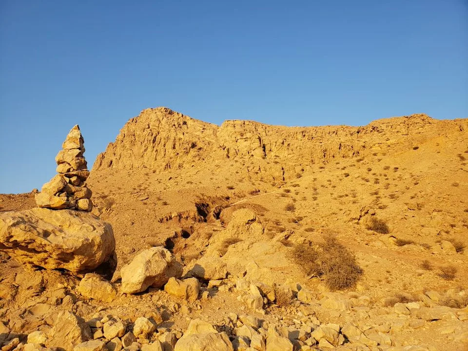 saal steps dirt trail #3