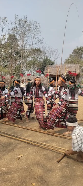 cheraw zokhua falkawn 4