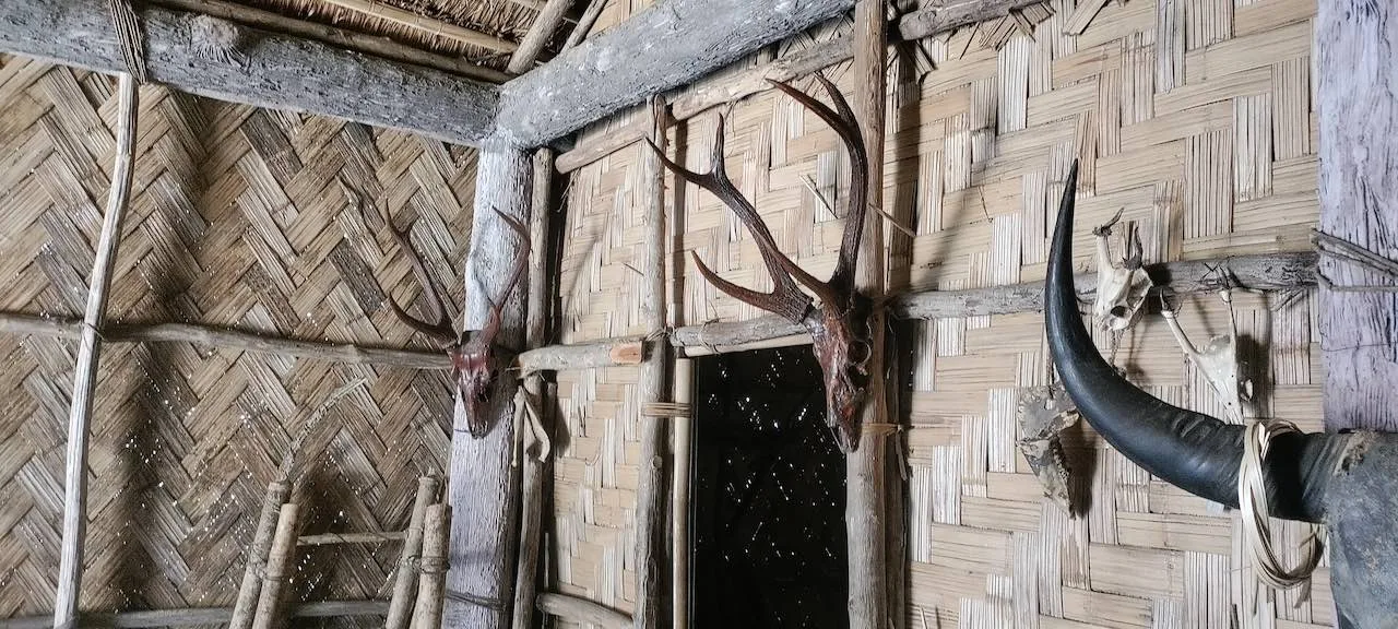 chiefs house zokhua falkawn 2