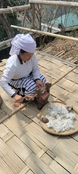 cotton preparation zokhua falkawn 1