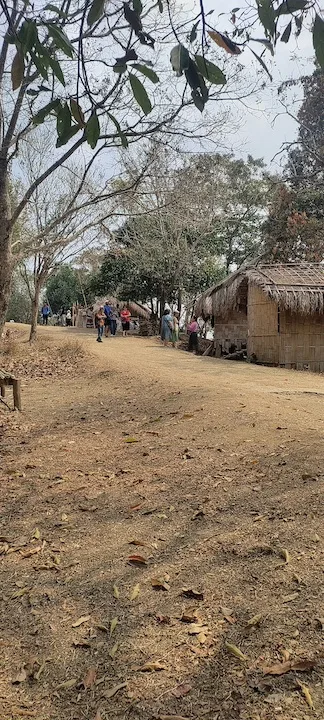 cotton preparation zokhua falkawn 4