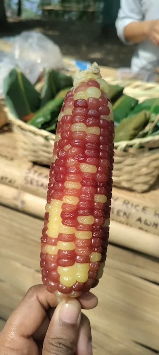 food at zokhua falkawn 2