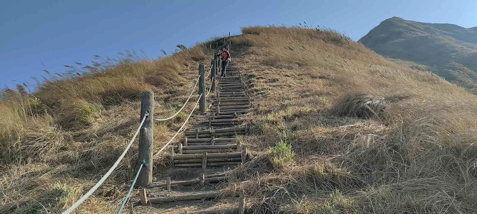 ngai tlang bamboo steps