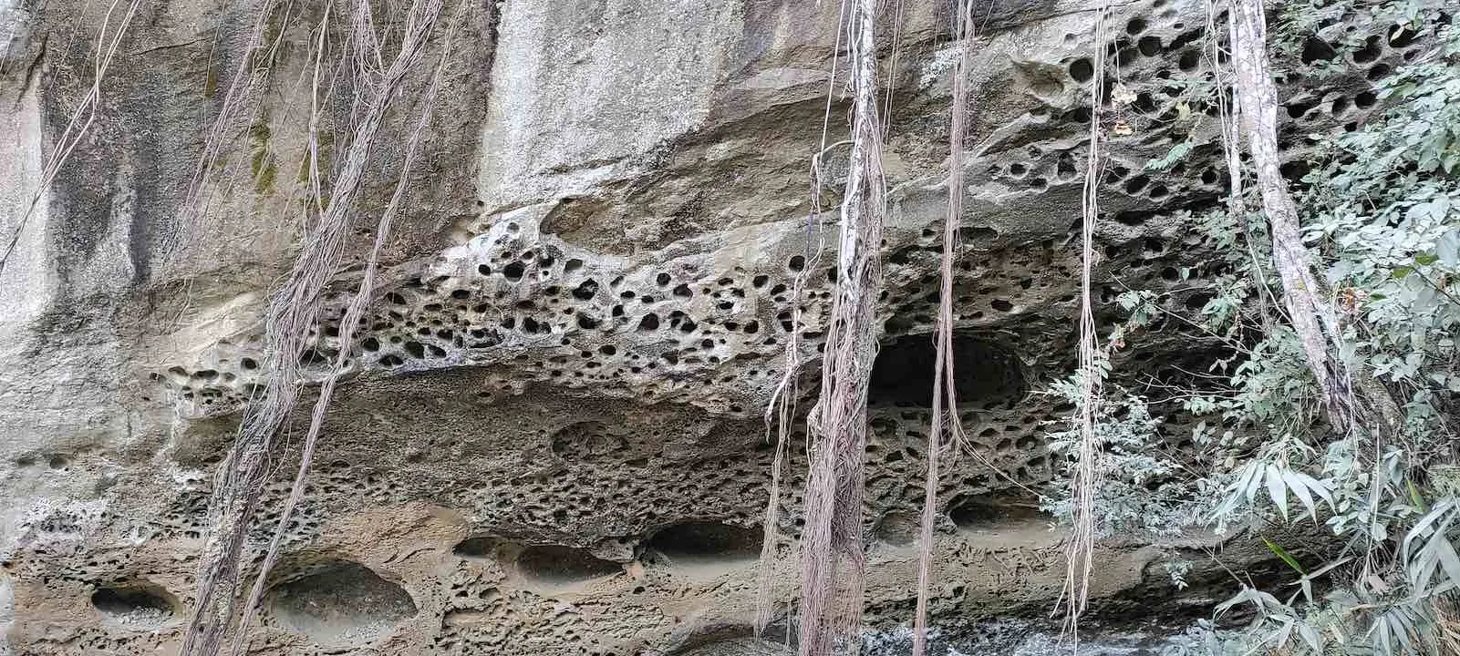 ngai tlang tafoni honeycomb formation 1