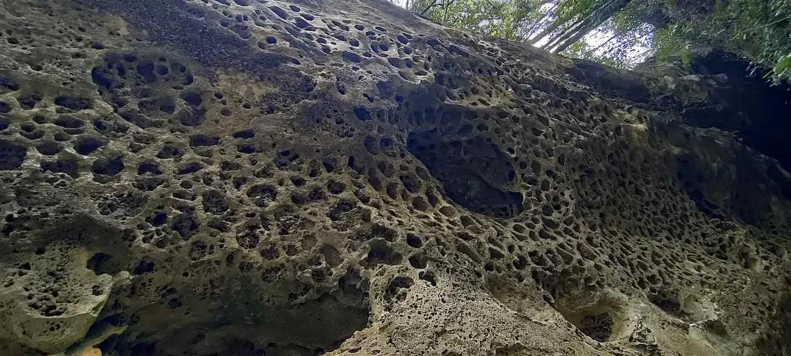 ngai tlang tafoni honeycomb formation 6