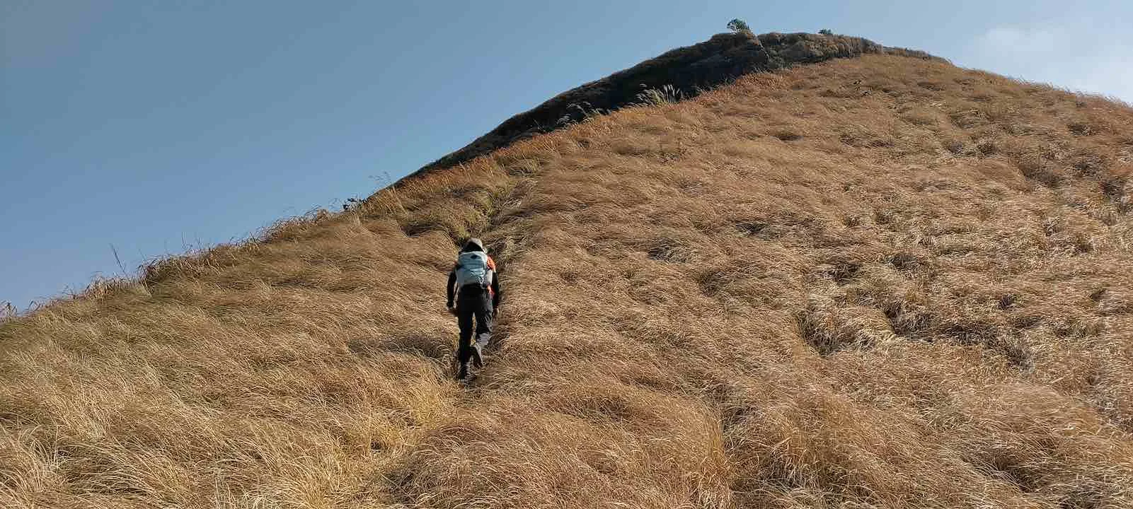 ngai tlang to reiek tlang grass meadow