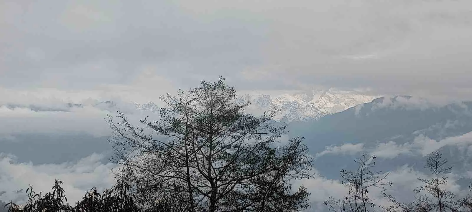 kanchenjunga view