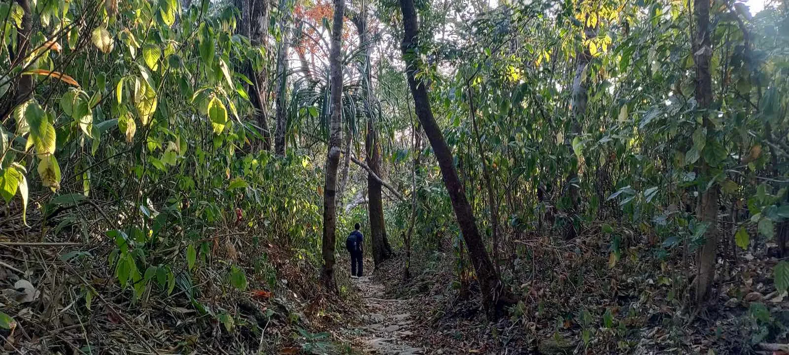 reiek tlang mini cave trail