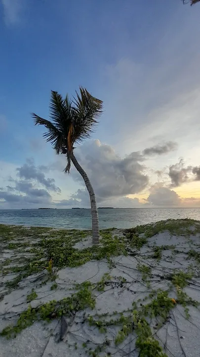 mantafushi maafushi reclaimed island 1