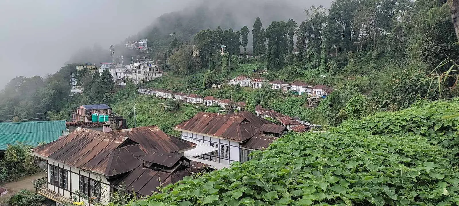 jotsoma scenic houses