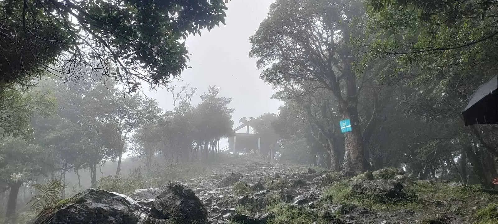 pulibadze before summit