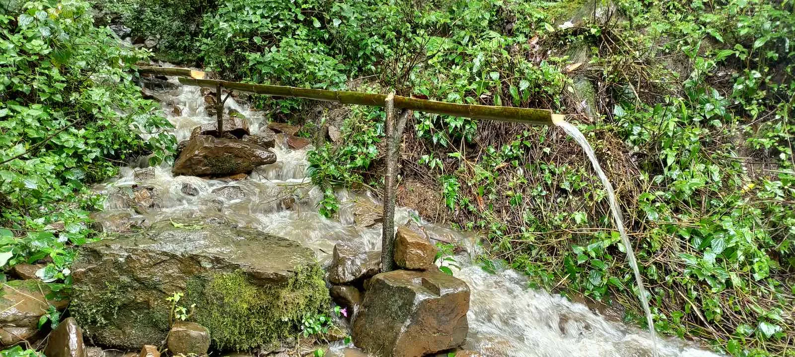 pulibadze natural water source