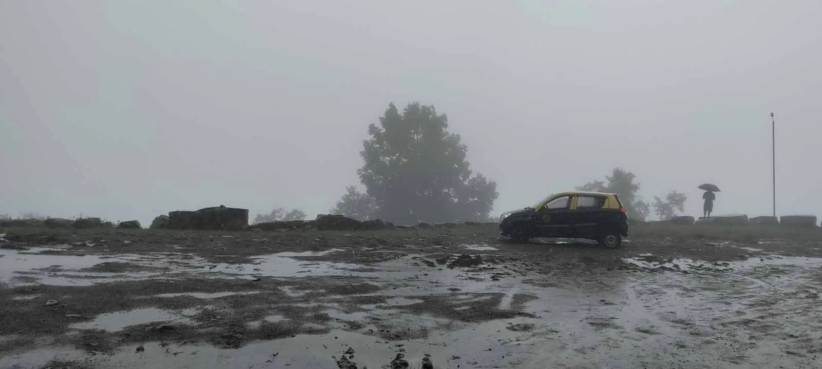 pulibadze parking