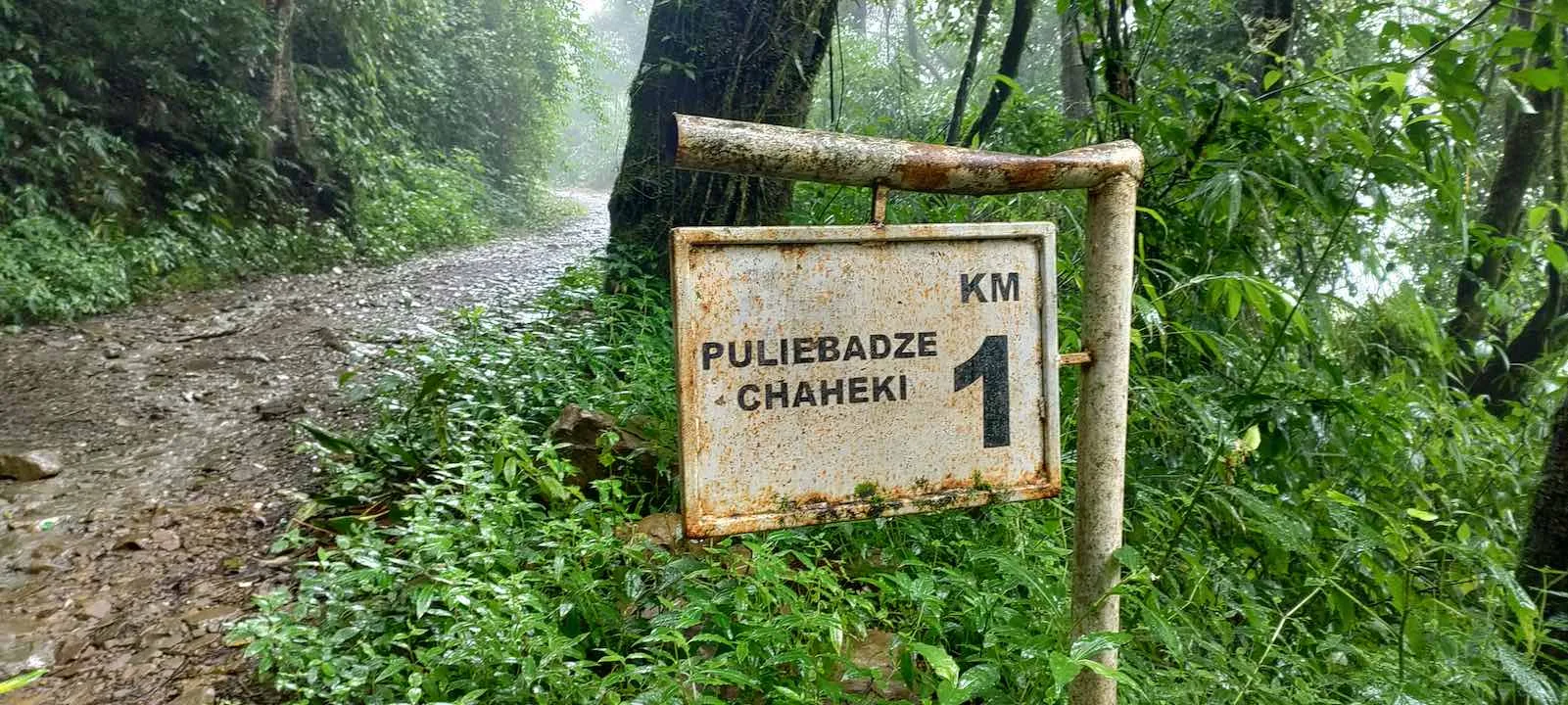 pulibadze road