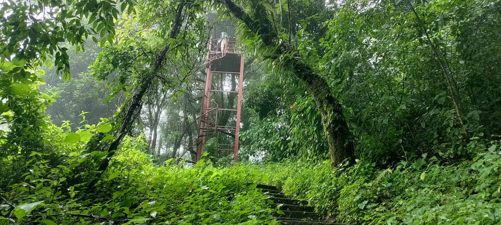 pulibadze tower