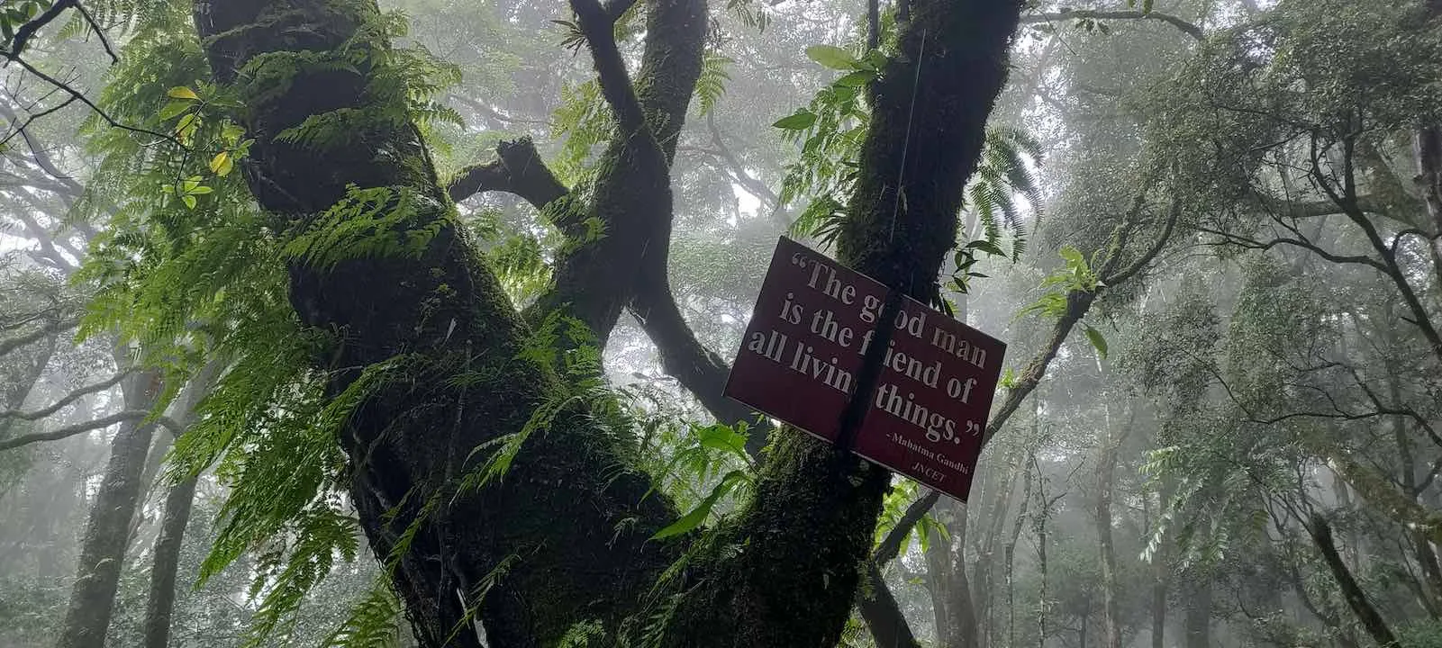 pulibadze trail 1
