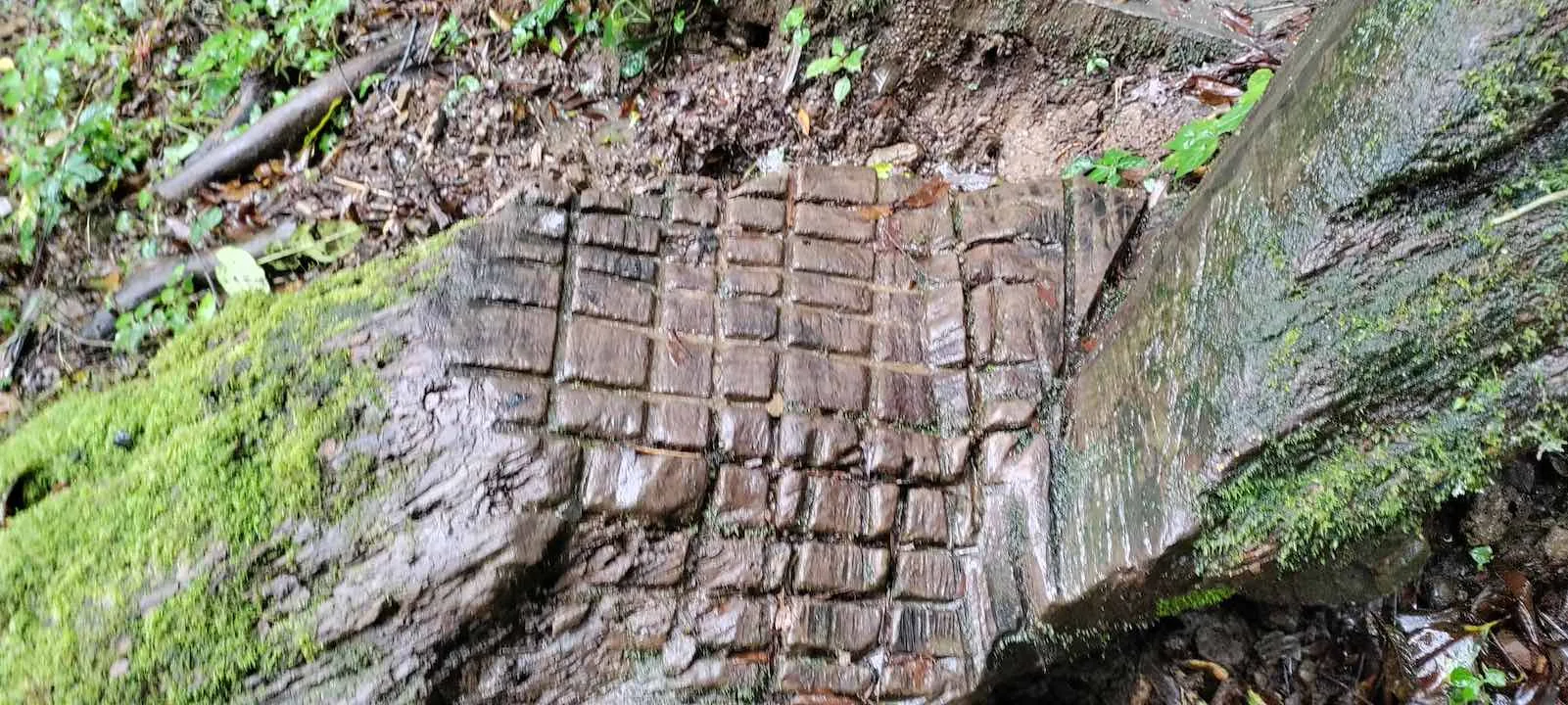 pulibadze trail 2