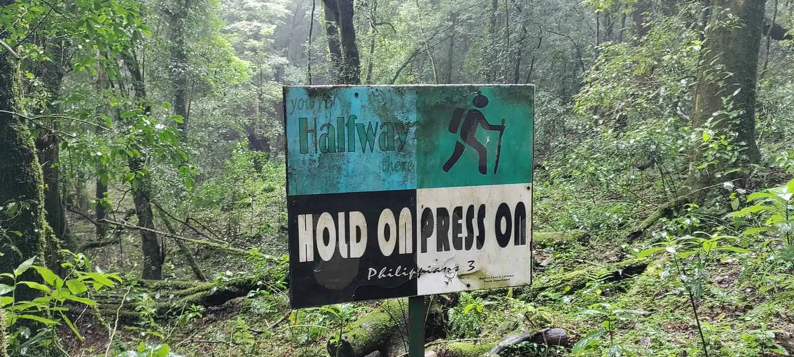 pulibadze trail 3