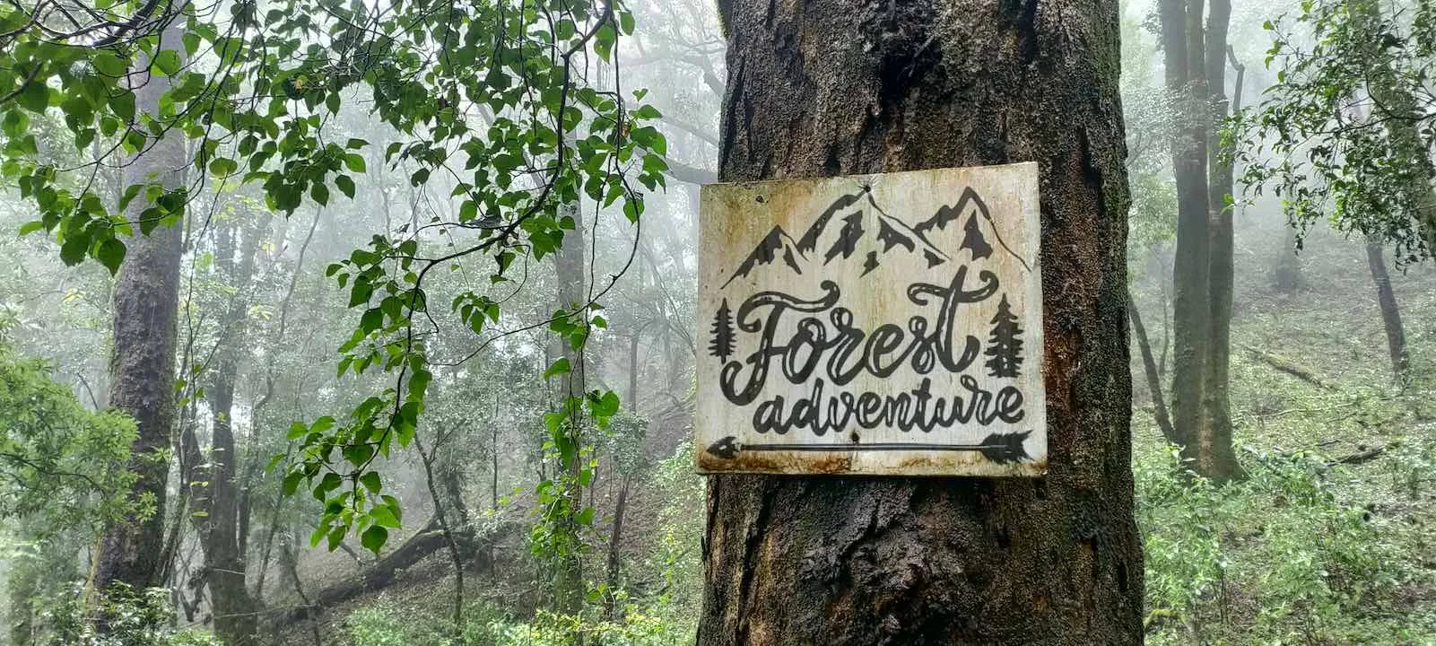 pulibadze trail 5