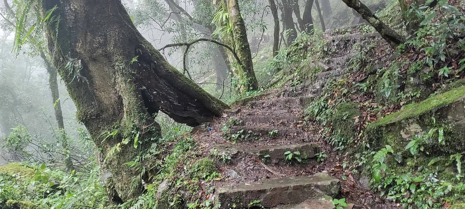 pulibadze trail 7