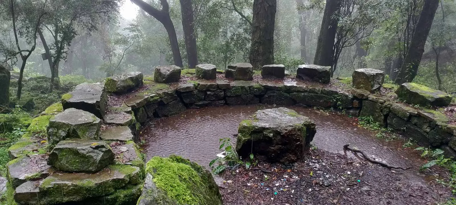 pulibadze trail 9