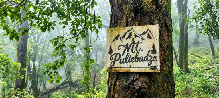 puliebadze jotsoma kohima nagaland