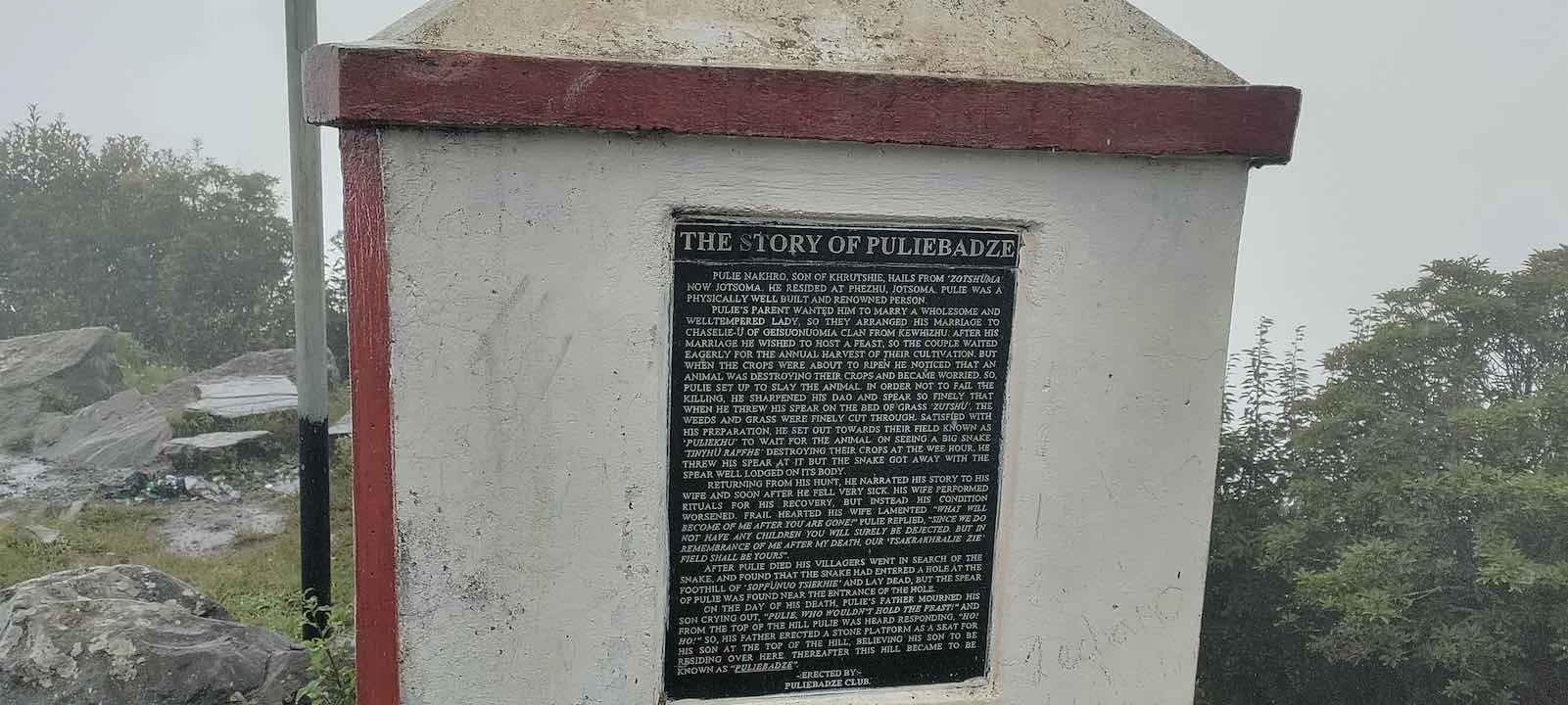 story of pulibadze